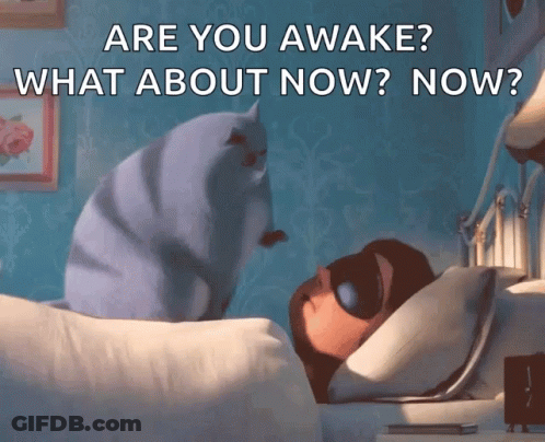 Cat Sitting Next To Sleeping Man GIF