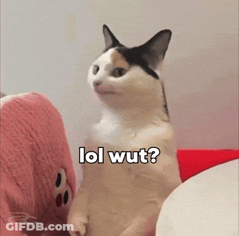 Cat Sitting Next To Stuffed Animal Saying LOL Wut GIF