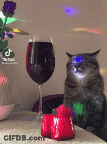 Cat Sitting Next To Wine And Candle With TikTok Logo GIF
