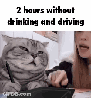 Cat Sitting Next To Woman Holding Pen And Tablet GIF