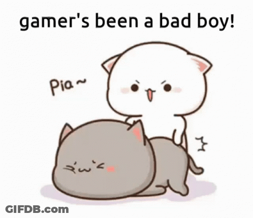 Cat Sitting On Another Cat With Gamer's Been A Bad Boy GIF