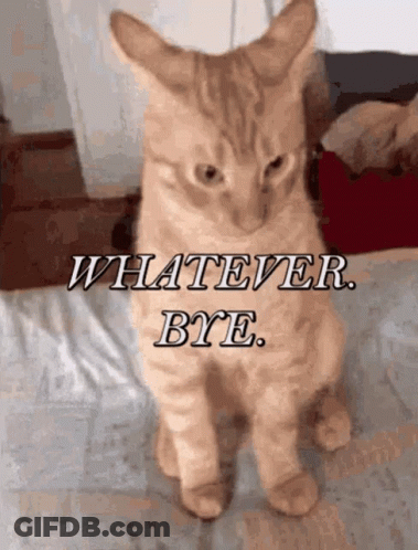 Cat Sitting On Bed Whatever Bye GIF
