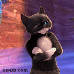 Cat Sitting On Bed With Paws On Box GIF