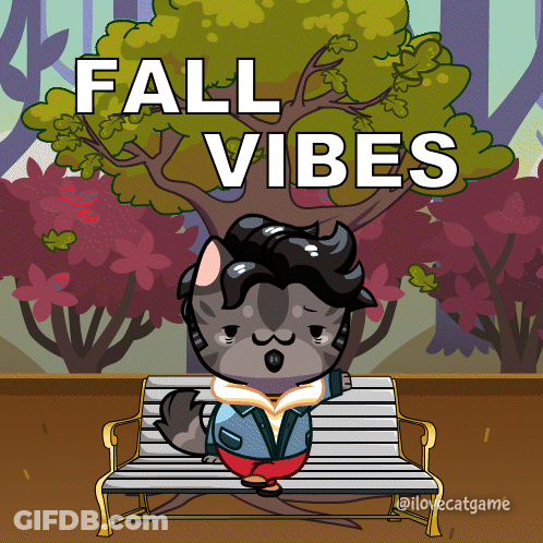 Cat Sitting On Bench Fall Vibes GIF