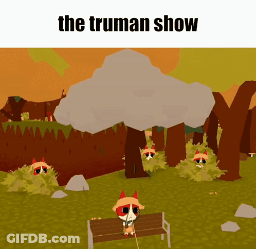 Cat Sitting On Bench Under Cloud With The Truman Show GIF
