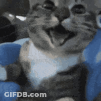 Cat Sitting On Blue Pillow Mouth Open GIF