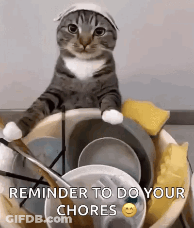 Cat Sitting On Bucket Of Dishes Reminder To Do Your Chores GIF