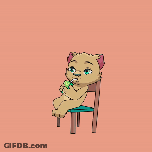 Cat Sitting On Chair Drinking Bottle GIF