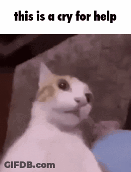 Cat Sitting On Couch Crying For Help GIF