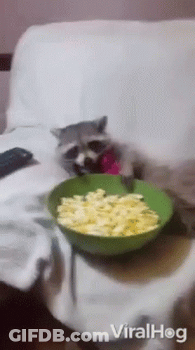 Cat Sitting On Couch Next To Popcorn GIF