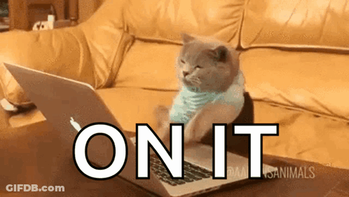 Cat Sitting On Couch Using Laptop GIF