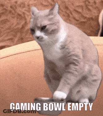 Cat Sitting On Couch With Empty Gaming Bowl GIF