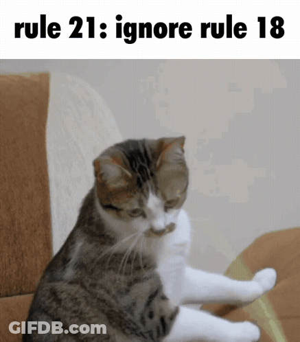 Cat Sitting On Couch With Rule 21 Ignore Rule 18 GIF