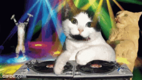Cat Sitting On DJ Turntable In Club GIF