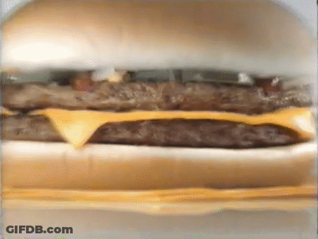 Cat Sitting On Hamburger GIF