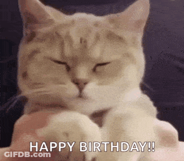 Cat Sitting On Lap Saying Happy Birthday GIF