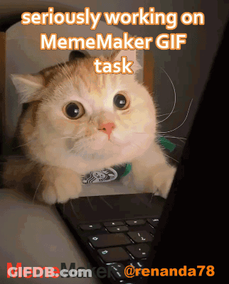 Cat Sitting On Laptop With Meme Maker GIF