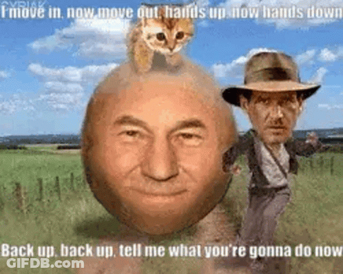 Cat Sitting On Man's Head GIF