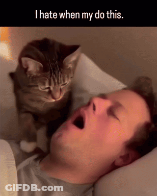Cat Sitting On Man's Head I Hate When My Do This GIF