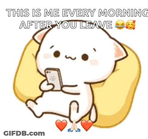 Cat Sitting On Pillow Looking At Cell Phone GIF