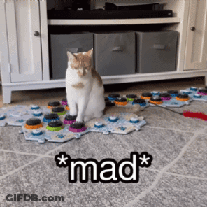 Cat Sitting On Puzzle Saying Mad GIF