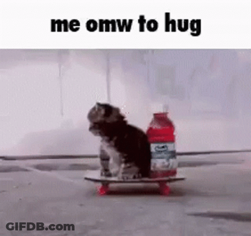 Cat Sitting On Skateboard Next To Juice GIF