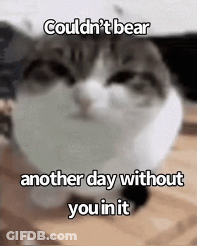 Cat Sitting On Table Saying Couldn't Bear Another Day Without You GIF