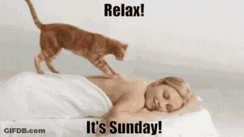 Cat Sitting On Woman Laying On Bed Relax It's Sunday GIF