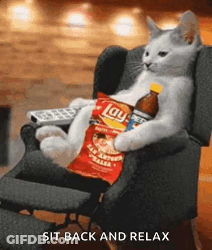Cat Sitting With Chips And Pepsi GIF