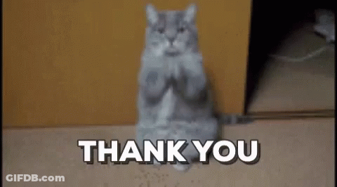 Cat Sitting With Paws Folded Thank You GIF