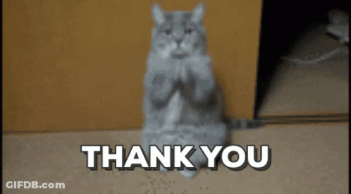 Cat Sitting With Thank You GIF