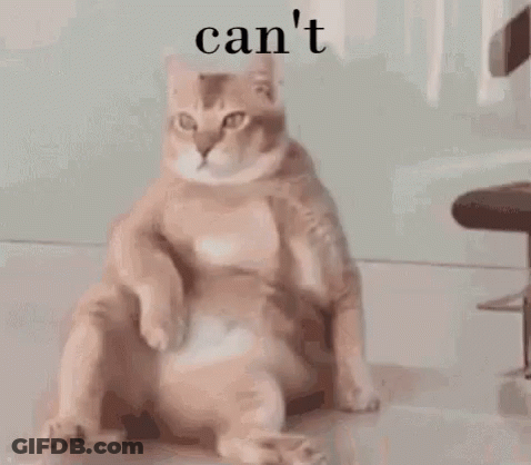 Cat Sitting With Word Can't GIF