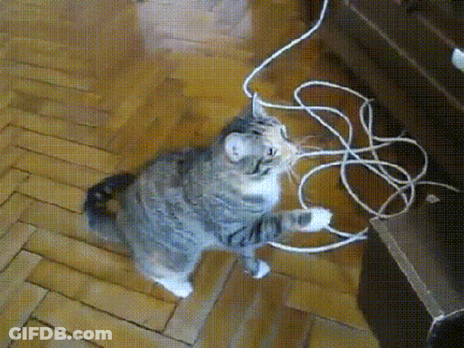 Cat Slapping Computer Disk Drive GIF