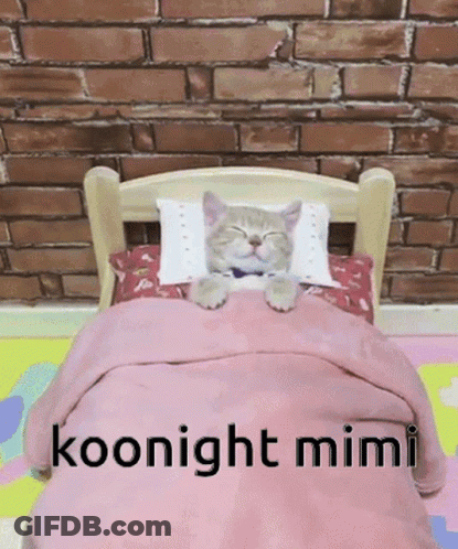 Cat Sleeping In Bed Koonight Mimi GIF