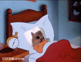 Cat Sleeping In Bed With Alarm Clock GIF