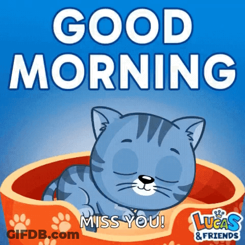 Cat Sleeping In Dog Bed Good Morning Miss You GIF