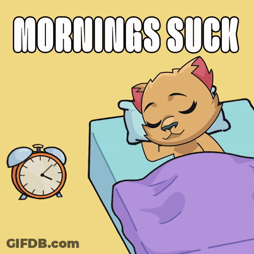 Cat Sleeping Next To Alarm Clock Saying Mornings Suck GIF