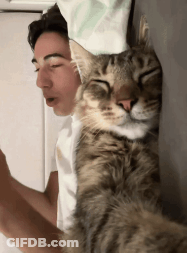Cat Sleeping On Man's Shoulder GIF