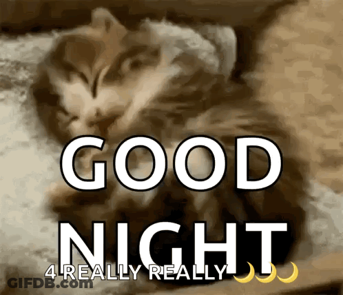 Cat Sleeping On Pillow Good Night 4 Really Really GIF
