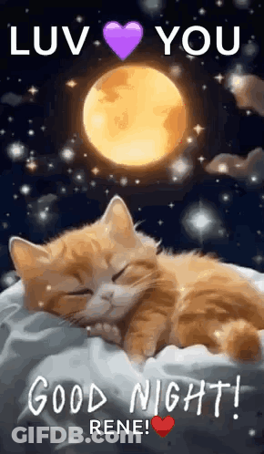 Cat Sleeping On Pillow In Front Of Full Moon GIF
