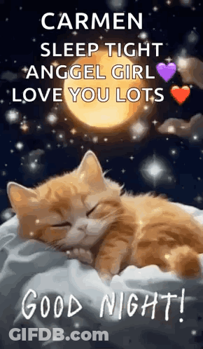 Cat Sleeping On Pillow Saying Carmen Sleep Tight Good Night GIF
