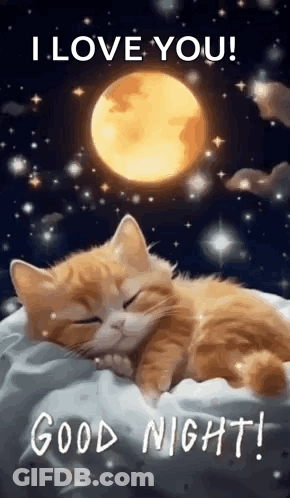 Cat Sleeping On Pillow With Moon GIF