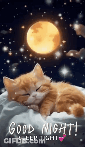 Cat Sleeping On Pillow With Moon GIF