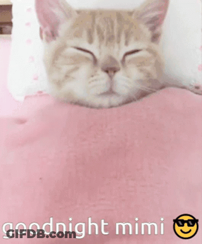 Cat Sleeping On Pink Blanket Goodnight Mimi GIF