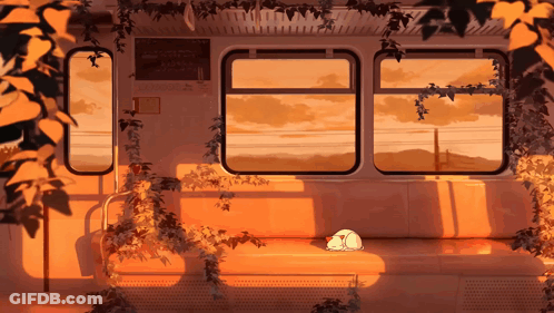 Cat Sleeping On Train With Sunset GIF