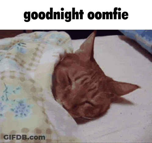 Cat Sleeping Under Blanket Goodnight Oomfie GIF