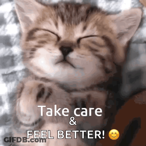 Cat Sleeping With Feel Better Text GIF
