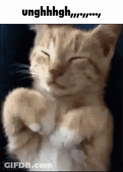 Cat Sleeping With Paws On Chest GIF