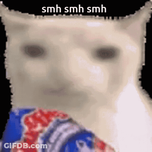 Cat Smh Smh Smh GIF