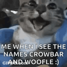 Cat Smiling On Blue Blanket GIF
